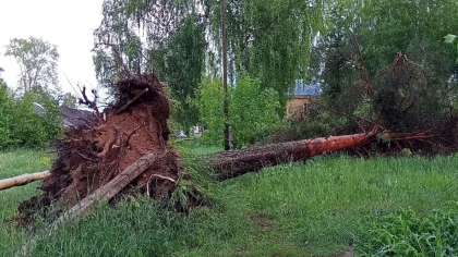 Оборванные провода, поваленные деревья и разбитые авто: какой урон нанес шторм в Кирово-Чепецке